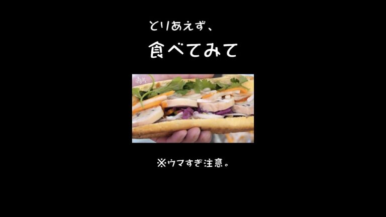 食べればわかる！ベトナム料理「バインミー」#shorts#関西グルメ#京都宇治