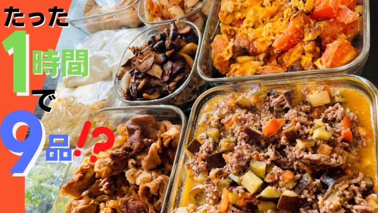 １週間分作り置き！！ご飯が進む主菜副菜を1時間で作れる方法見せます【作り置き実況＃38】