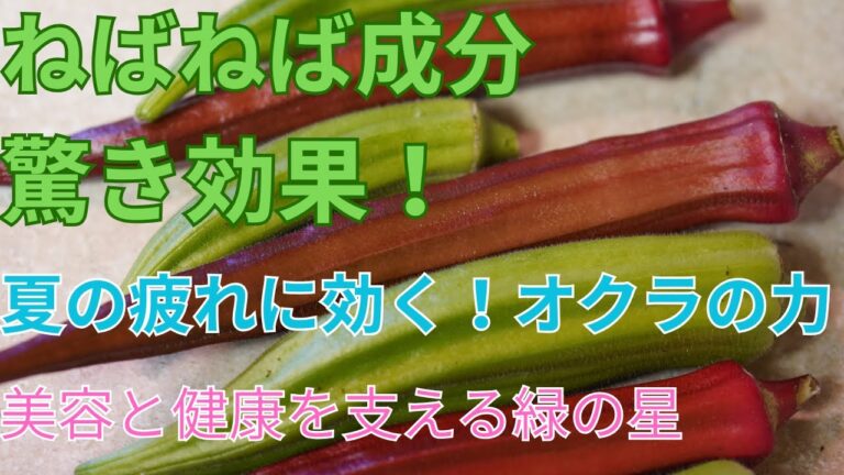 【グリーンスター】【低カロリー＆整腸効果】オクラの魅力を解説｜選び方・旬・健康効果