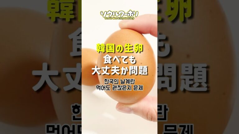 韓国の生卵食べても大丈夫か問題。 #韓国ワーホリ #韓国留学 #韓国旅行 #韓国生活 #韓国情報 #일본인 #일본인브이로그 #한국생활