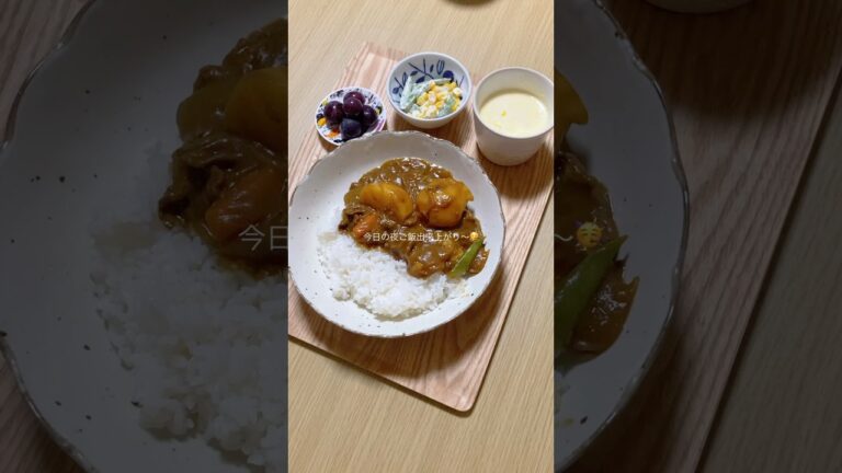26歳主婦の自炊記録🍳【肉じゃがカレー】#自炊 #自炊記録 #料理