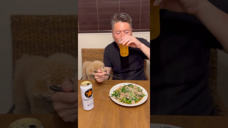 最高の休み晩酌【町中華】【肉ニラもやし炒め】