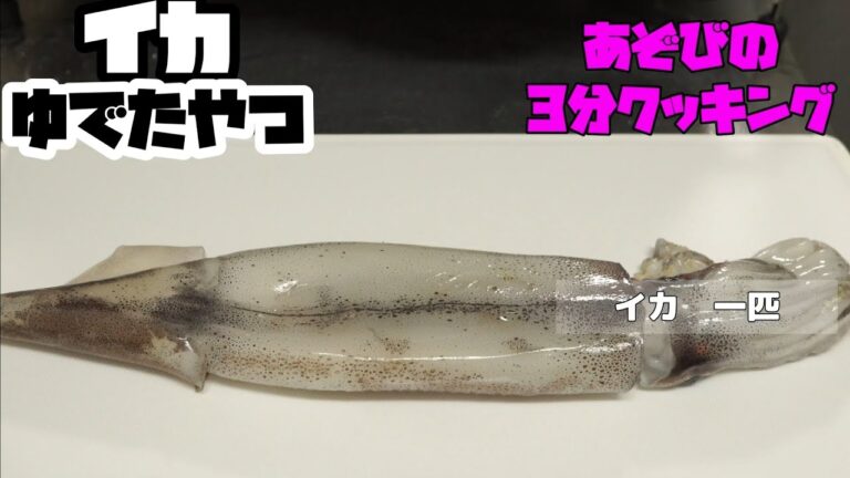 【イカを茹でたやつ】ニート生活67日目【3分クッキング】