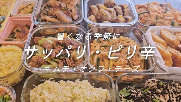 【作り置き9品】ひんやり副菜・ピリ辛おかずで元気が出る♪/冷麺風春雨サラダ/手羽ニラ炒め/冷やし豚キムチ