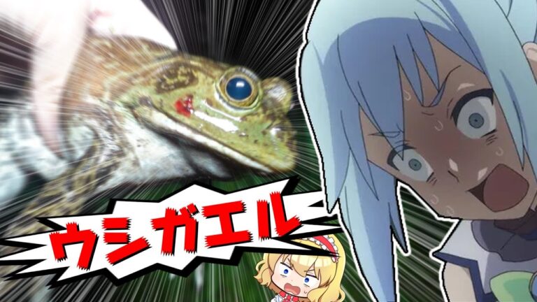 【ゆっくり実況】ジャイアントトードを討伐せよ【ゆっくり料理】【ゆっくり解説】【アニ飯】