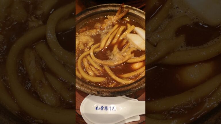 味噌煮込みうどん【山本屋本店】名古屋めし