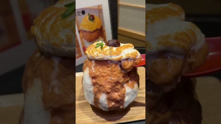 【ごーらー必見!!】西荻窪のかき氷専門店「SUZUMU」に秋の新作かき氷2種類が登場！ #shorts #西荻窪