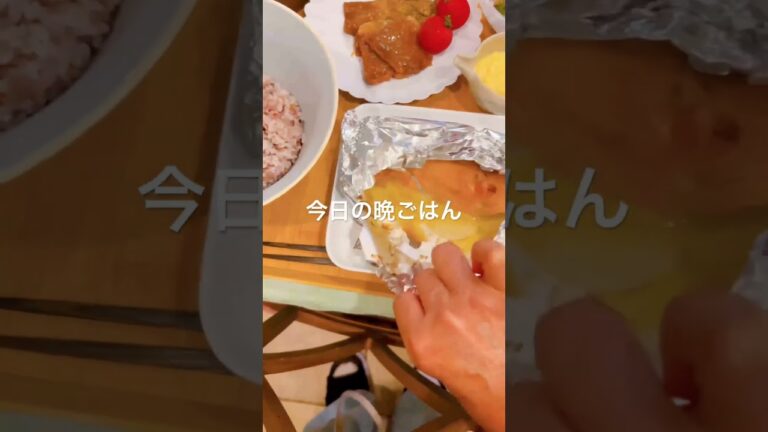 サーモンのホイル焼き♡︎ʾʾバターと味噌麹で… きゅうりのあっさり漬け、ナスとお残りの焼肉、ゴーヤチャンプルー、雑穀米　#おうちごはん#晩ごはん#晩ごはん記録#夕食記録#저녁밥#糖尿病