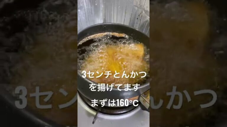【3センチとんかつチャレンジ vol.1】#shorts