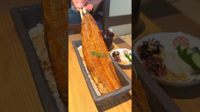 鰻を1匹豪快に盛った鰻重！