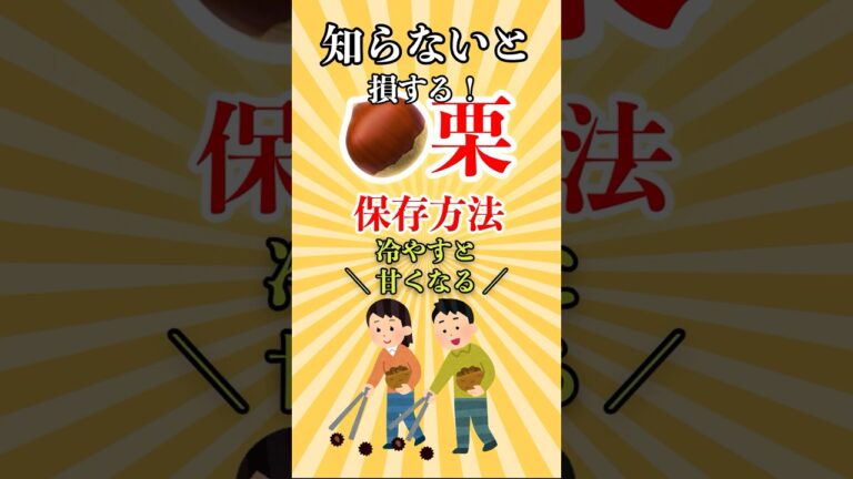 【これ必見】大量の栗を長持ちさせる農家の裏ワザ！ #shortsvideo #雑学 #プチ知識 #一分でわかる #ショート #ライフハック