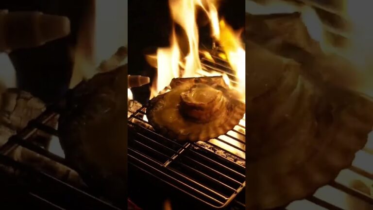 ホタテバター醤油焼き🔥焚き火で焼くホタテしか勝たん☺️#shorts #スローライフ #カップル #アラサーOLの田舎暮らし #キャンプ #レシピ #アウトドア#Camp#ホタテ #Scallops