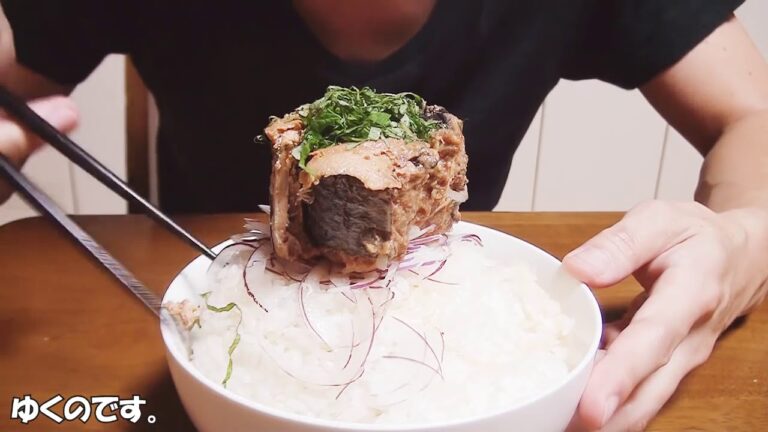 [新しい] 【めし動画】深夜に食べるサバ味噌煮缶オンザ白飯【飯動画】