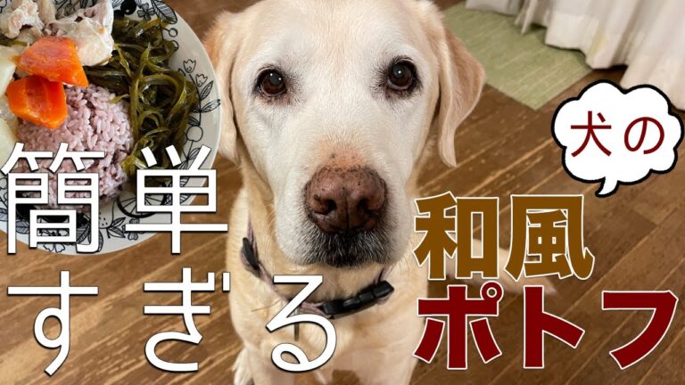 簡単すぎる、犬のための和風ポトフ | 犬の手作りごはんレシピ