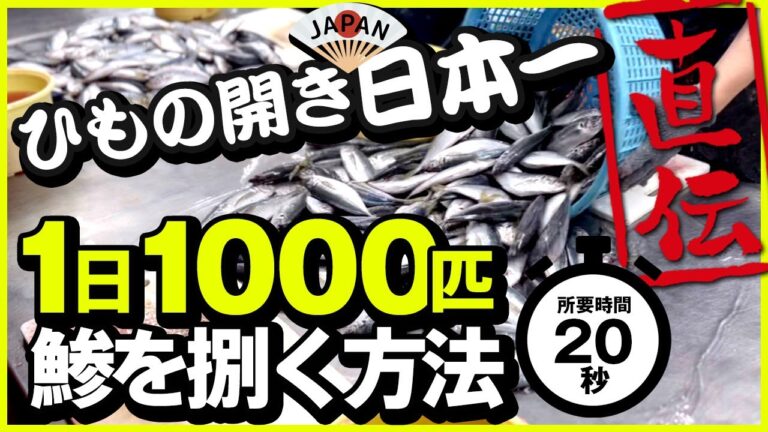 【アジの捌き方】ひもの開き日本一大会優勝者が教える鯵の開き方 釣りで釣れた鯵を美味しく食べよう。初心者必見