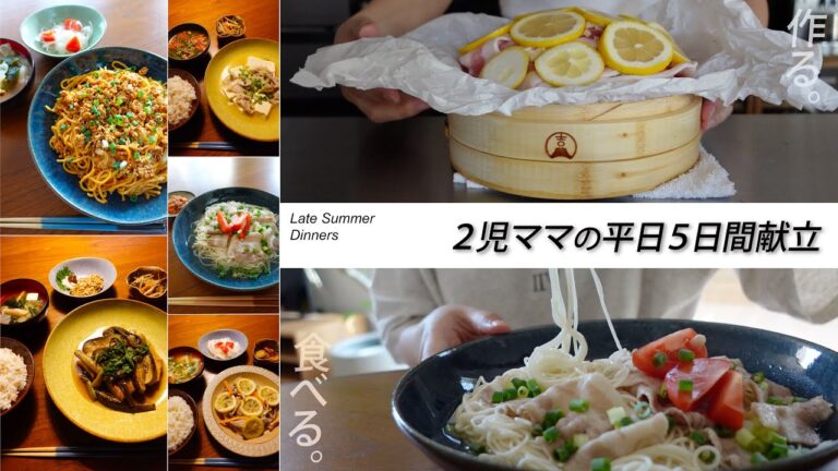 夏の終わりの食卓Vlog | 二児ママが作る夜ご飯記録。せいろ蒸し,麺料理,定番おかずetc.