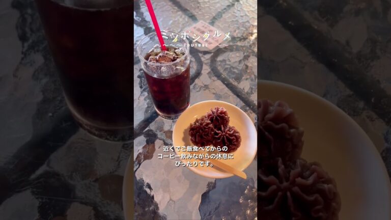 【京都天橋立観光】ロケーションが最高#ぎるが すぎるカフェでまったりシました。#shorts