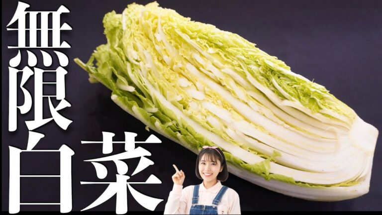 安い旬の白菜を切って混ぜるだけ。すぐ食べられて、作りおきもできる絶品おかずをご紹介します。【冬の常備菜】【節約レシピ】【白菜大量消費】