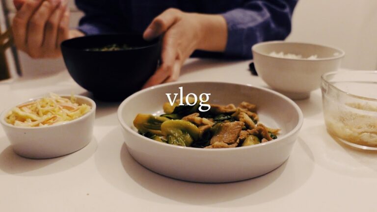 【vlog // 食事ルーティン】つくりおきで楽する4日分の夜ごはん記録。おひとりさまの寂しい食卓。麻婆豆腐。チンゲンサイレシピ。高菜チャーハン。
