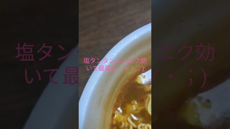 ごつ盛り塩担々麺ニンニク効いて最高だった件Σ(・∀・；)