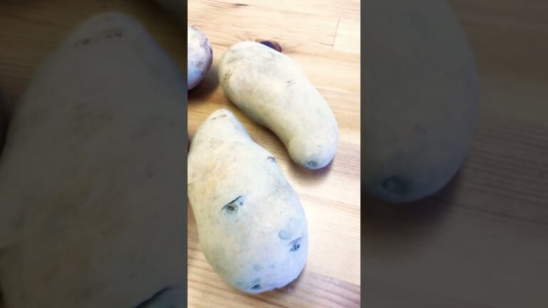 甘みが特徴のじゃがいもメークイン【野菜の宅配型直売所：船橋野菜】