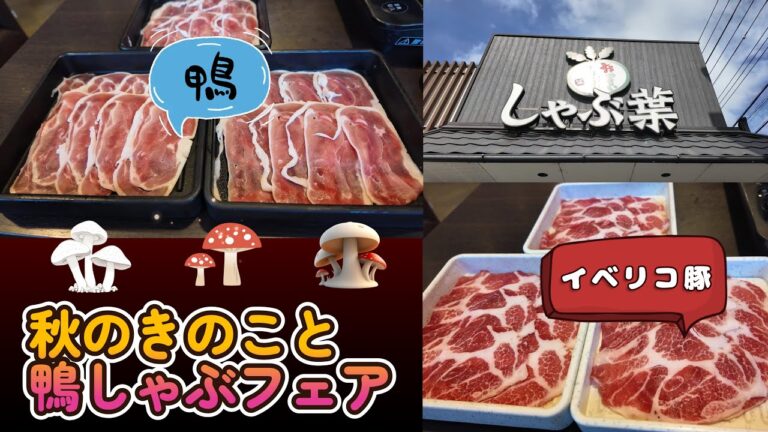 【しゃぶ葉】秋のきのこと鴨しゃぶフェア!