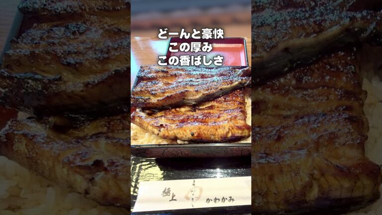 『うなぎ かわかみ』新潟県小千谷市桜町５１３６−４