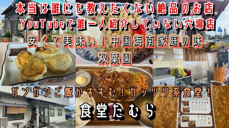 本当は誰にも教えたくない絶品のお店！YouTubeで誰一人紹介していない穴場店【茨城県水戸市】安くて美味い！中国海南家庭の味「双葉園」【筑西市】ガンガンご飯がすすむ！ガッツリ系食堂！食堂たむら