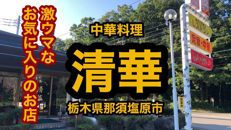 中華料理 清華（栃木県那須塩原市）カニチャーハン＆冷やしつけ麺大盛り＆塩ラーメン大盛り。お気に入りのお店！なんと！今年初訪問です！この夏はこれ！