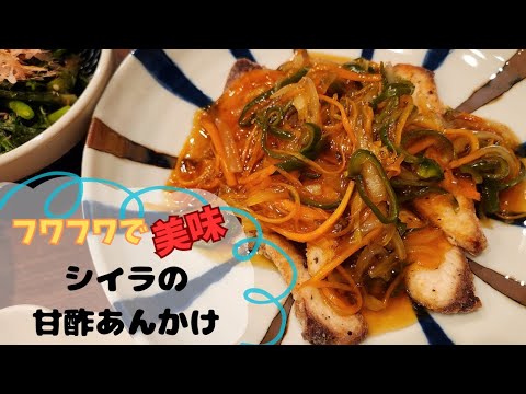 《料理動画》#28 シイラさんメチャうまですやん‼️