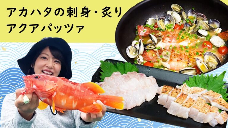 アカハタのさばき方～お刺身・炙り・アクアパッツ～