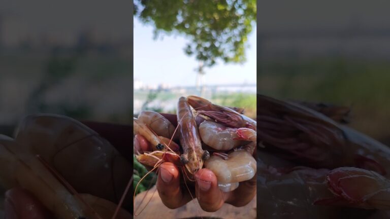 Grilled Shrimp with Mashed Potatoes & Bacon | Cooking by the Karun River in Ahvaz - ASMR