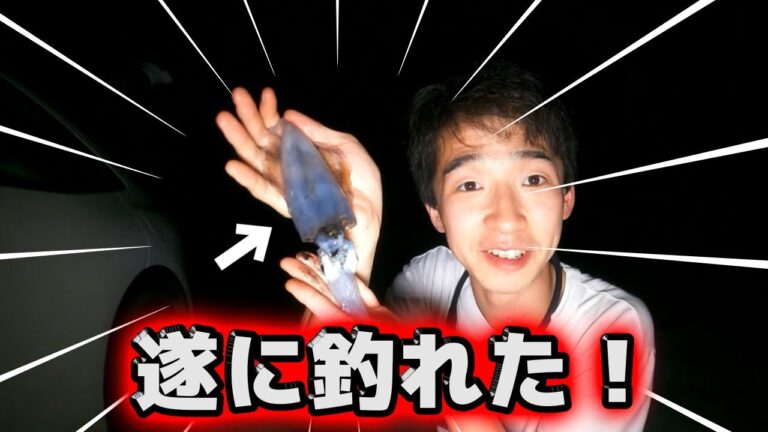 『奇跡』「釣り旅　新潟最終日」　雨上がりの夕マズメの堤防でついに念願のアオリイカを釣り上げた！