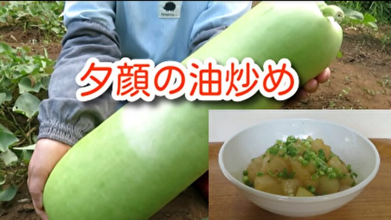【つるんとした食感でご飯がすすむ！】巨大な夏野菜「夕顔」の油炒め
