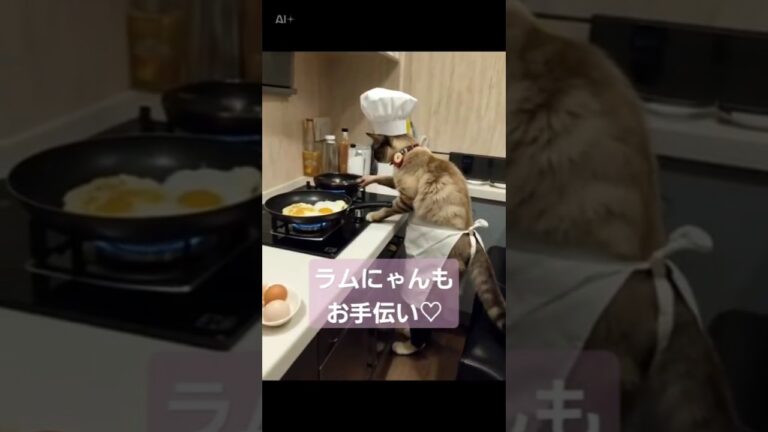 たんぱく質を意識した♡高野豆腐の玉子とじ♡おラム子クッキング🍳