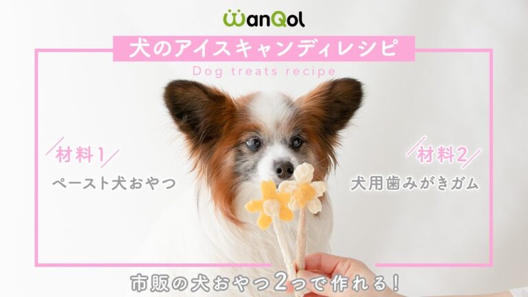 【超簡単レシピ】ペーストおやつを凍らせるだけ⁈暑い日にぴったりな2種類のアイスの作り方♪《愛犬手作り健康ごはん》