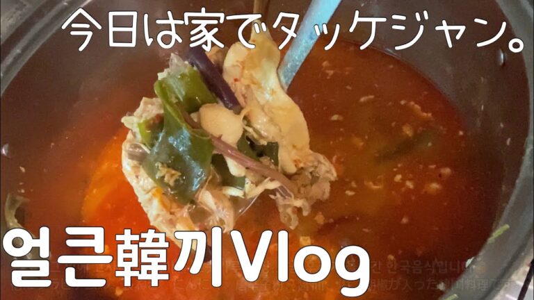 【한끼Vlog】家でタッケジャン Vlog(닭개장/명이나물/김치2종)