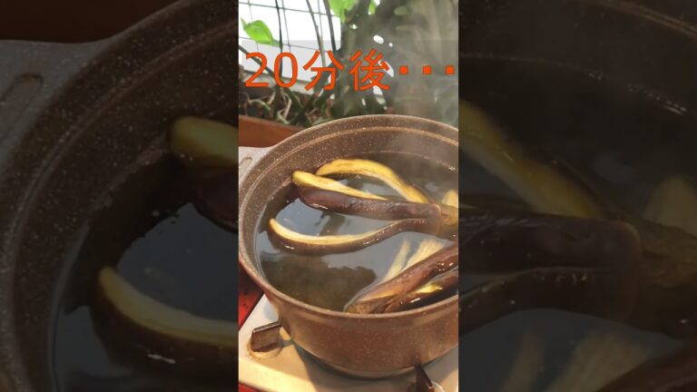 【韓国伝統薬膳・免疫力UPで感染症予防!】コロナ太りも解消⁉ナスのお茶とナムル★ #shorts