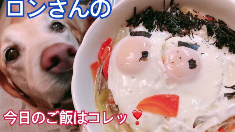 大型犬ごはん動画　☆目玉焼き☆