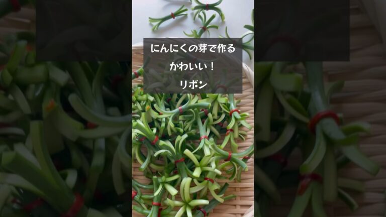 【にんにくの芽でリボンが作れちゃう！】炒め物にいかがでしょうか？　#riiごはん #デコごはん #japanesefood #にんにくの芽