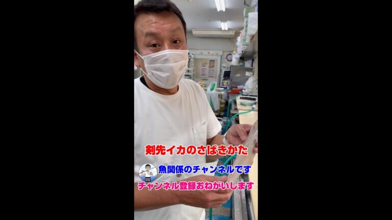 今釣れてるケンサキイカをさばく時のコツと墨まみれにしない方法#shorts