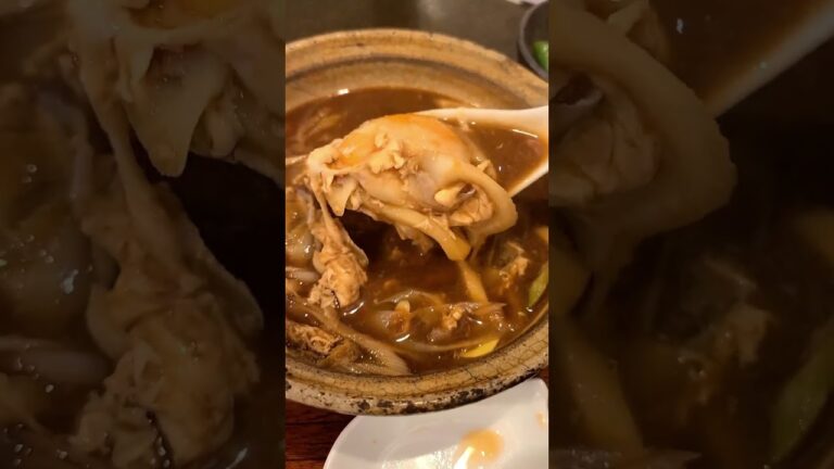 【飯テロ】激ウマ 名古屋人の食べ方で味噌煮込みうどんを食べてみた #デブ飯 #山本屋 #味噌煮込み #名古屋めし #うどん #ねこまんま #麺活 #背徳飯 #shorts #asmr