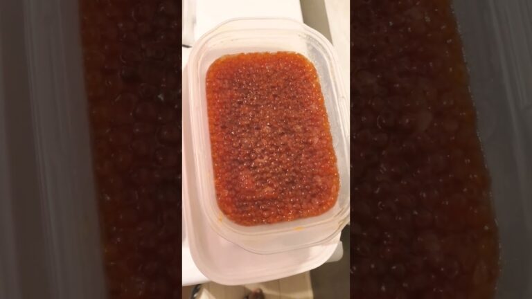 はらこたくさん貰ったから醤油漬け作ってみたよ#shorts #はらこ#クッキング#鮭#いくら#イクラ丼#宝石