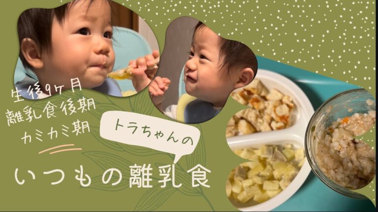生後9ヶ月の離乳食後期カミカミ期
