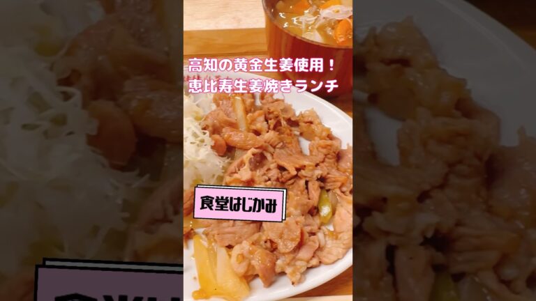 高知の黄金生姜焼き【恵比寿居酒屋ランチ】#short #ebisu #tokyofood #japanesefood #東京美食 #東京グルメ #恵比寿 #恵比寿グルメ #生姜焼き #しょうが焼き