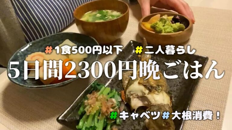 2300円以下でまとめ買い！二人暮らし5日間の晩ごはん【節約】【キャベツ消費】【大根消費】【カラフル野菜】【ロマネスコ】