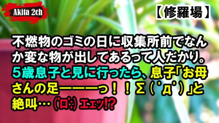 不燃物のゴミの日に収集所前でなんか変な物が出してあるって人だかり。【AKITA 2ch】