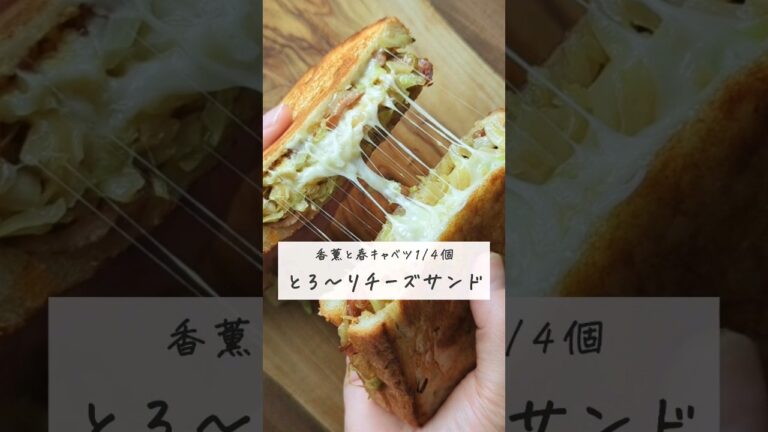 【旬のキャベツ1/4個（200g）がとれる春のチーズサンド】とろ〜りチーズが食欲をそそる上しっかり野菜もとれるところが◎｜#簡単レシピ #旬の食材 #春の味覚 #春の食材 #春 #春を告げる
