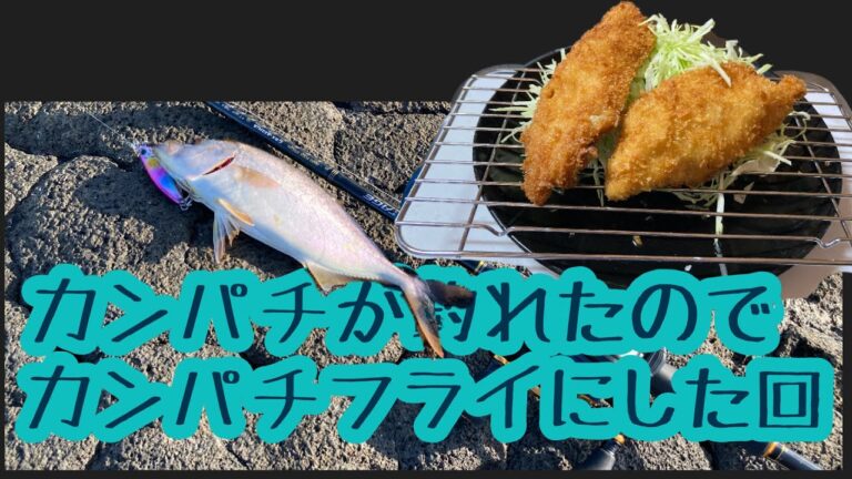 【磯釣り】カンパチが釣れたのでカンパチフライにした回