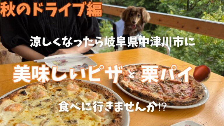 【愛犬とドライブVlog】GRスープラで行く中津川グルメ旅｜絶品ピザ＆秋の栗スイーツ